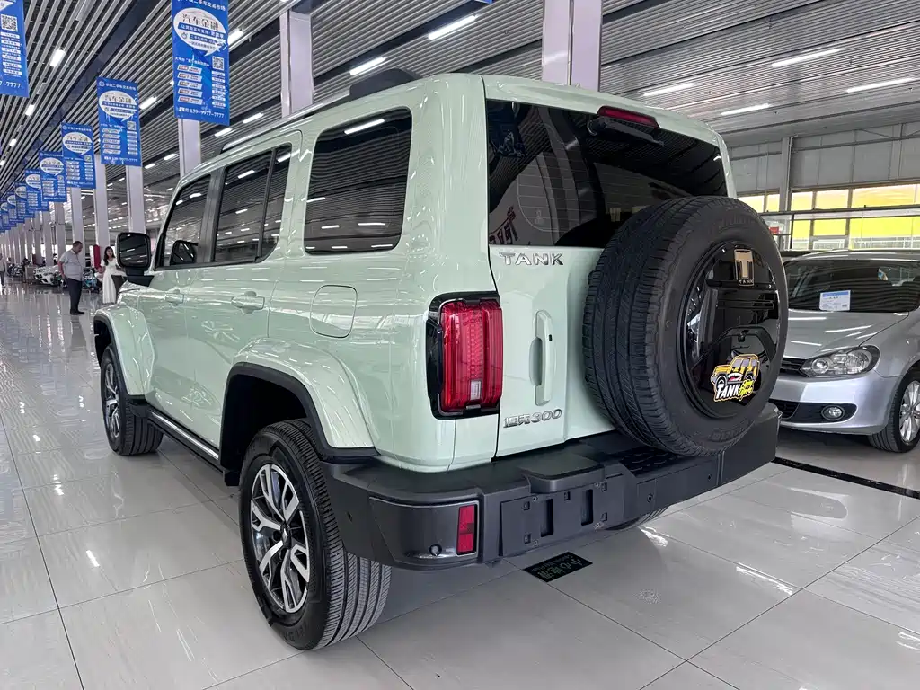 TANK 300 2023 City Edition 2.0T Very Stylish купить на сайте DeffCars