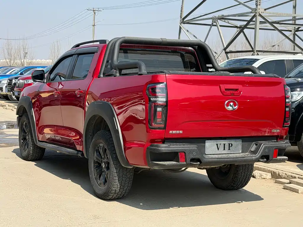 Cannon 2021 2.0T off-road version automatic diesel four-wheel drive Everest version GW4D20M купить на сайте DeffCars