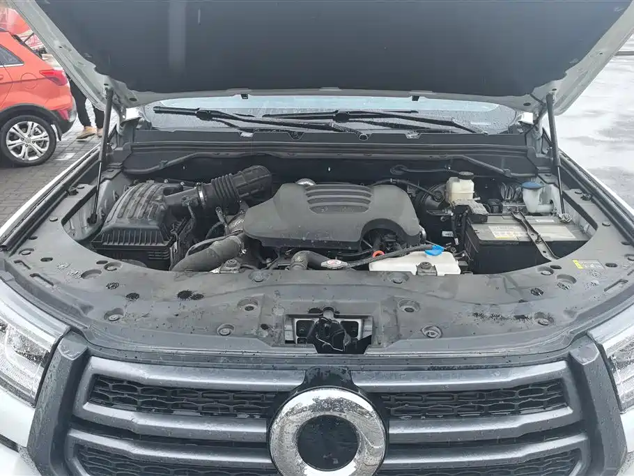 Cannon 2023 2.0T passenger version automatic diesel four-wheel drive comfort type GW4D20M купить на сайте DeffCars