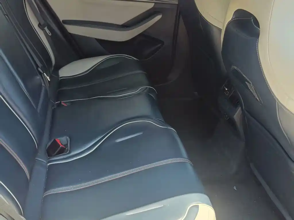Qin PLUS 2021 EV 500KM luxury model купить на сайте DeffCars