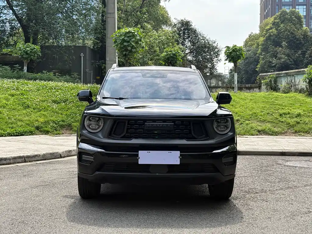 Haval Big Dog PLUS 2023 2.0T two-wheel drive wild version Plus купить на сайте DeffCars