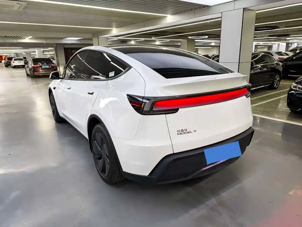 Model Y 2025 rear-wheel drive version купить на сайте DeffCars