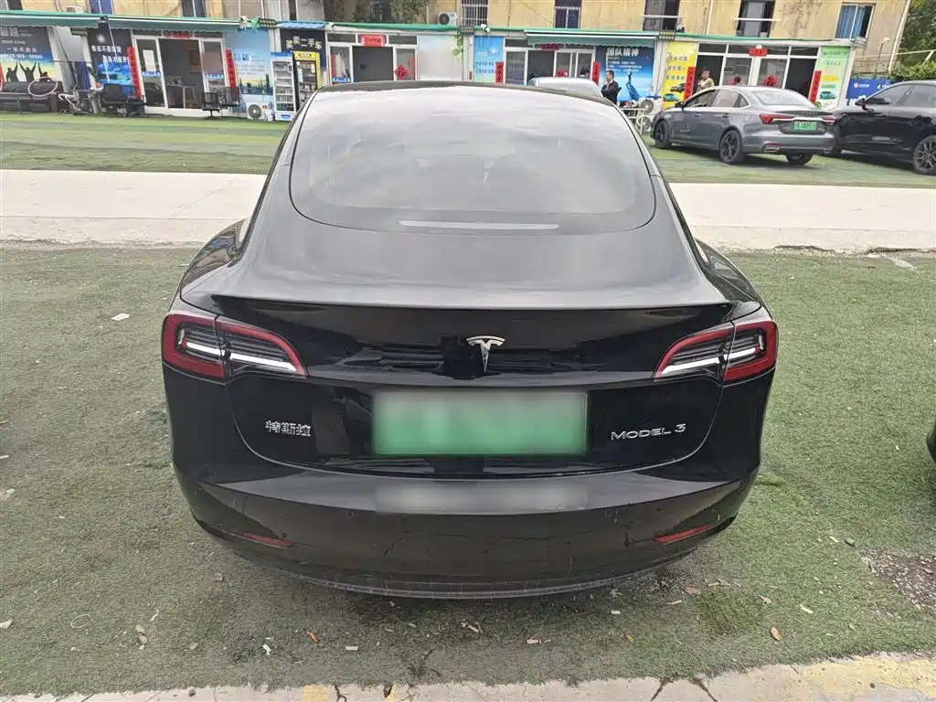 Model 3 2022 rear-wheel drive version купить на сайте DeffCars