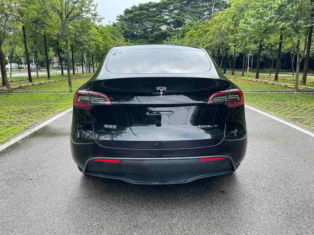 Model Y 2022 long-range all-wheel drive version купить на сайте DeffCars