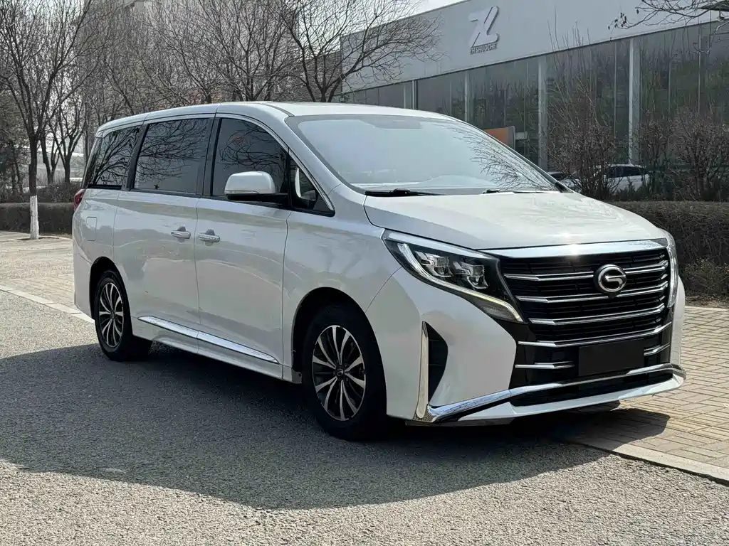Trumpchi M8 2021 Lead Show Series 390T Exclusive Edition купить на сайте DeffCars