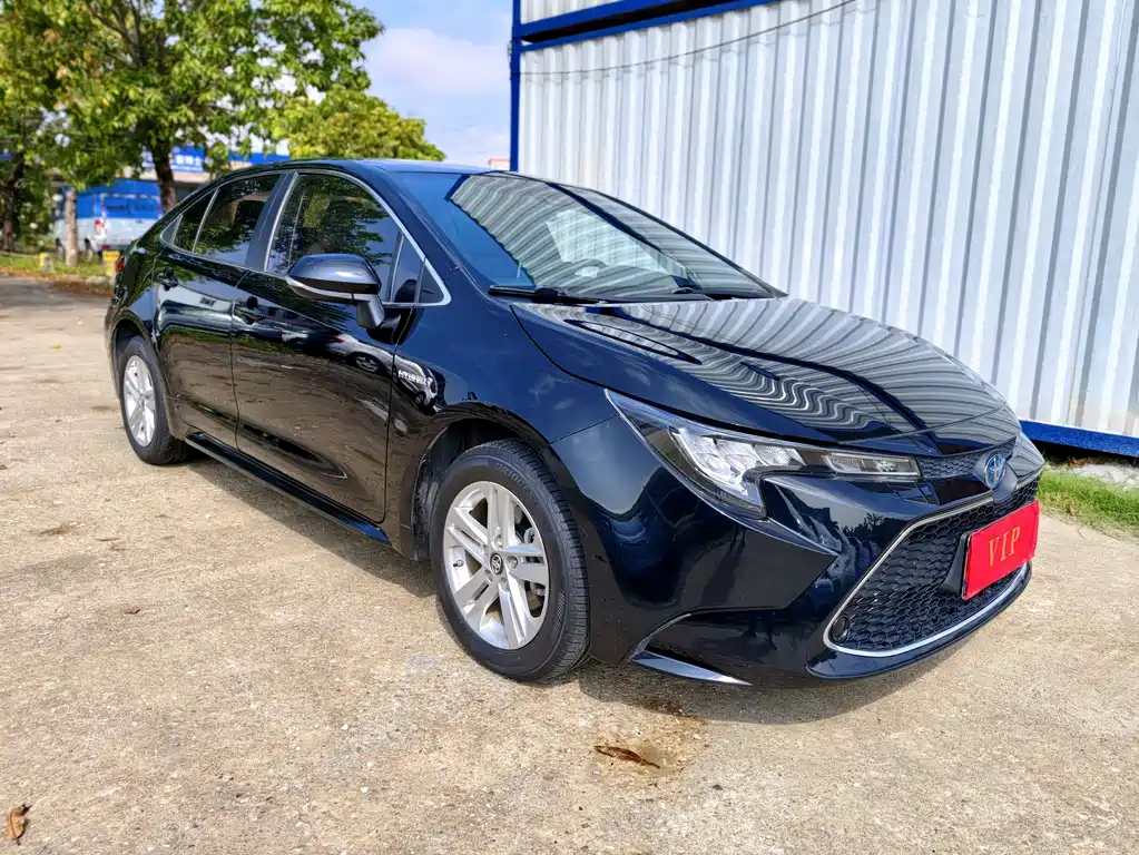 Ralink 2019 Dual Engine 1.8H E-CVT Deluxe Edition National V купить на сайте DeffCars