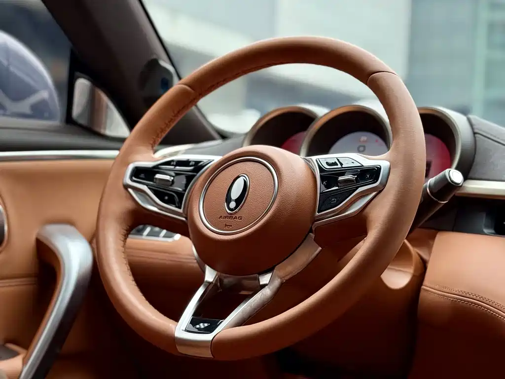 Euler Lightning Cat 2022 555km Premium Edition купить на сайте DeffCars