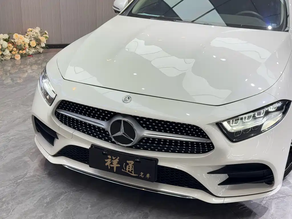 Mercedes-Benz CLS 2020 CLS 300 luxury model купить на сайте DeffCars