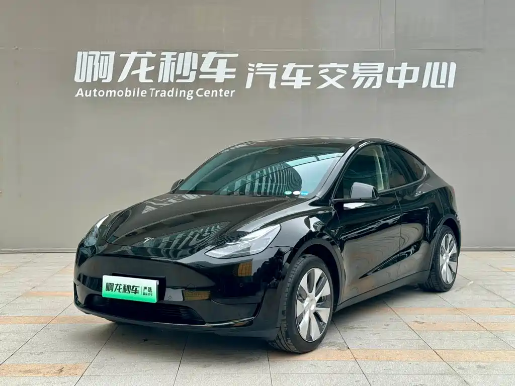 Model Y 2022 rear-wheel drive version купить на сайте DeffCars