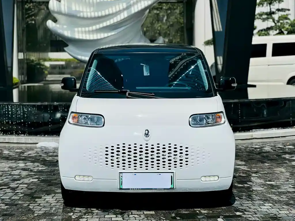 Euler White Cat 2020 305km luxury model купить на сайте DeffCars