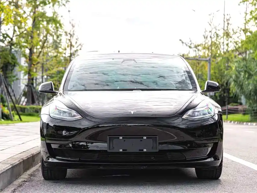 Model 3 2021 Standard Range Rear Drive Upgraded Version купить на сайте DeffCars