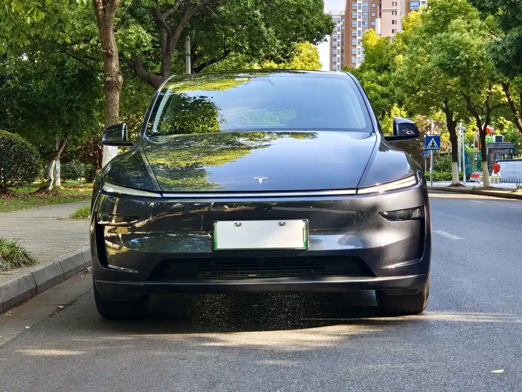 Model Y 2025 rear-wheel drive first edition купить на сайте DeffCars