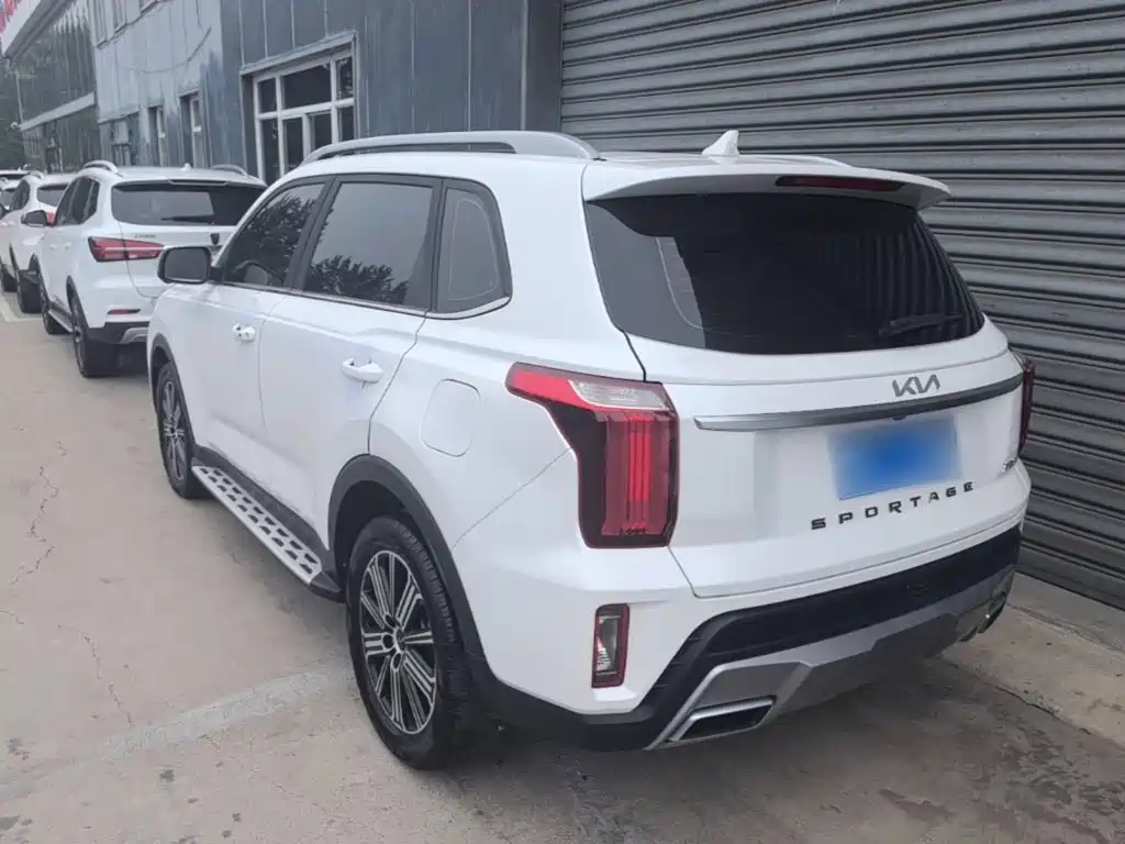 Zhipao 2021 Ace 2.0L Wonderful Edition купить на сайте DeffCars