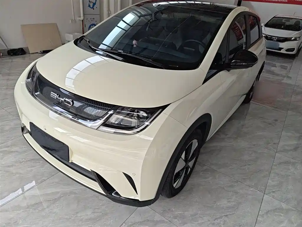 Dolphin 2023 420km Fashion Edition купить на сайте DeffCars