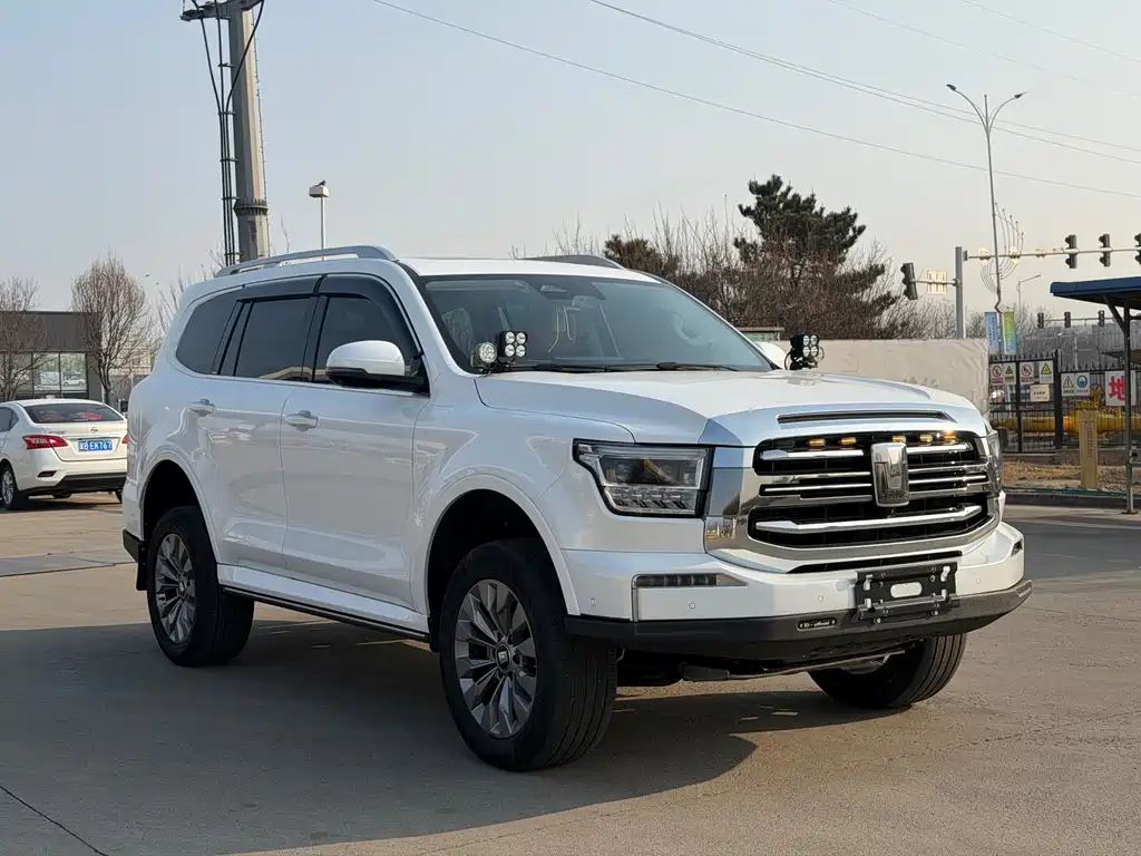 Tank 500 2022 model 3.0T sports version, environment type, 5 seats купить на сайте DeffCars