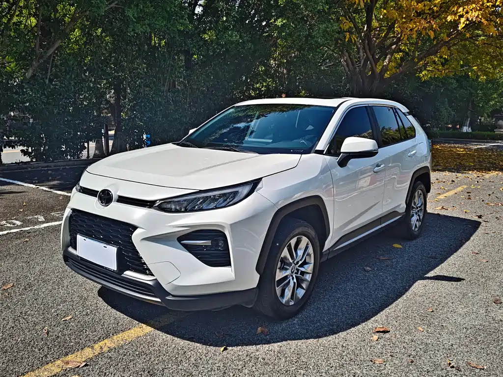 Weilanda 2023 2.0L CVT two-wheel drive urban version купить на сайте DeffCars