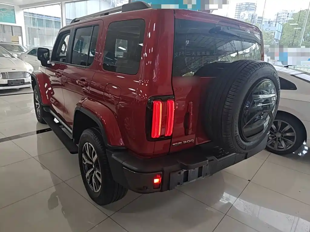 Tank 300 2023 City Edition 2.0T Very Stylish купить на сайте DeffCars