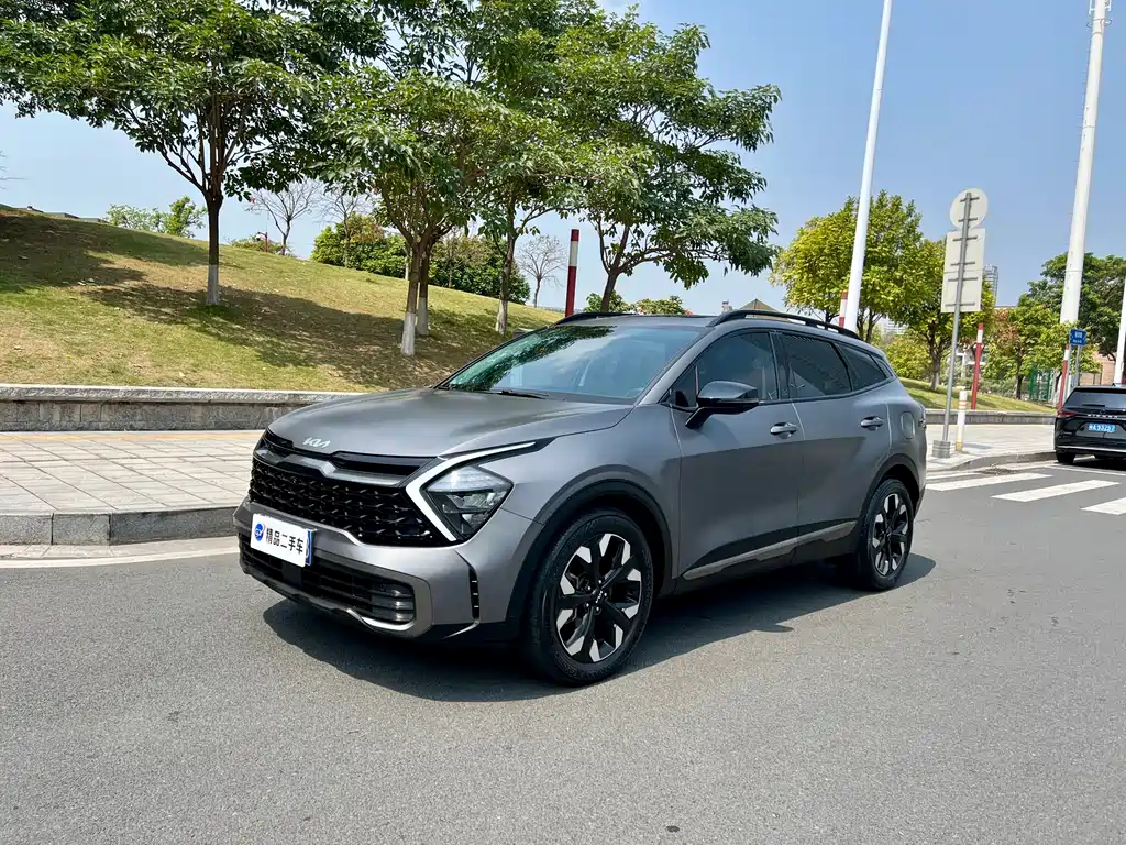 Lion Platinum expands the world 2023 2.0T two-wheel drive flagship version купить на сайте DeffCars