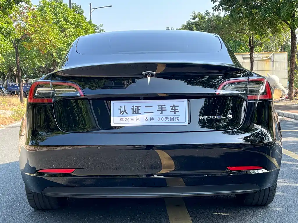 Model 3 2022 rear-wheel drive version купить на сайте DeffCars