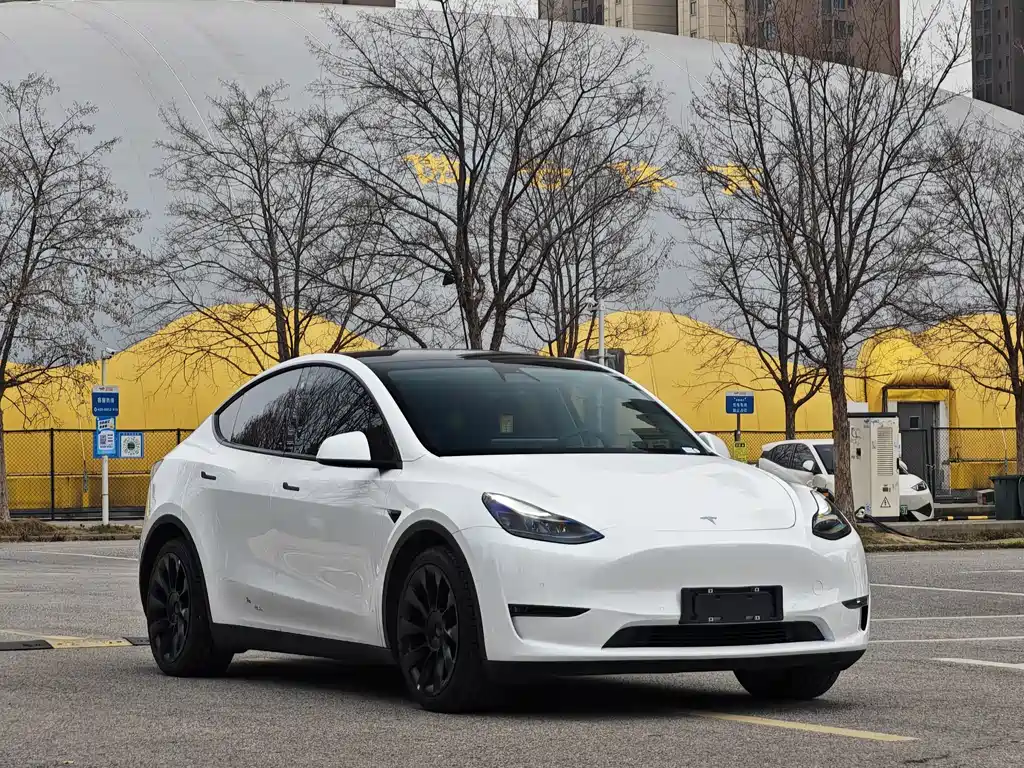 Model Y 2021 Standard Range Rear Drive Edition купить на сайте DeffCars