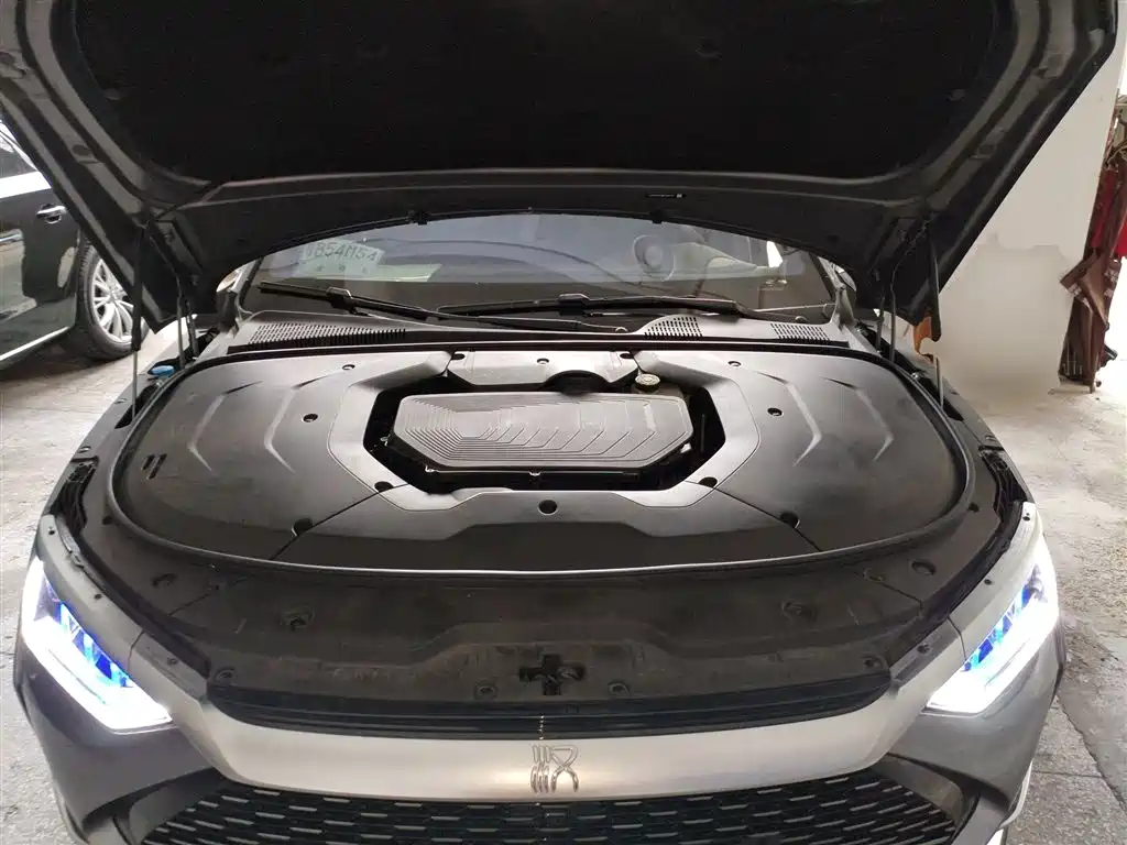 Han 2020 DM four-wheel drive performance version luxury model купить на сайте DeffCars