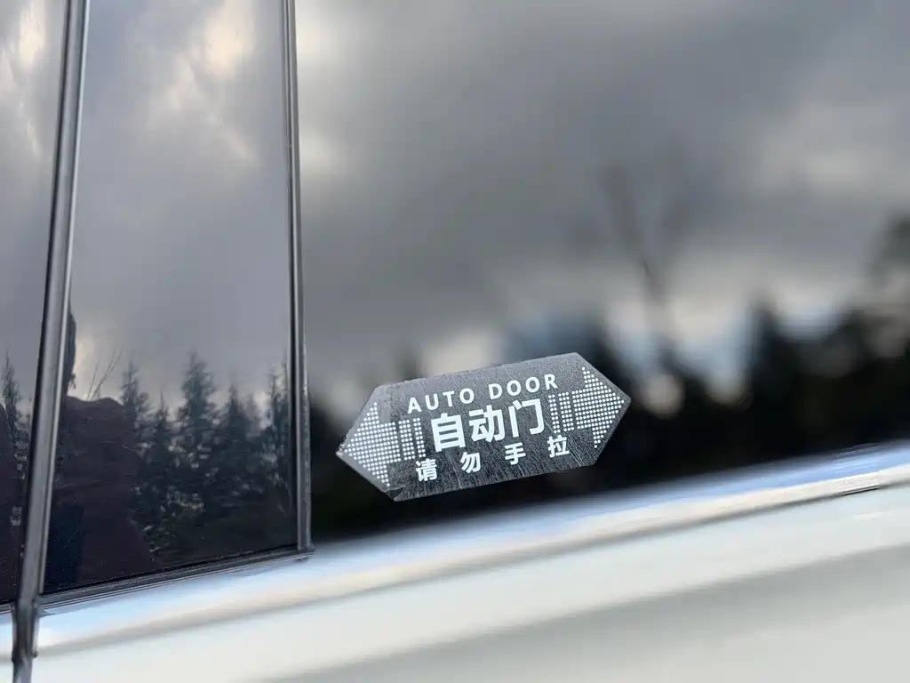 Weiran 2020 330TSI Deluxe Edition купить на сайте DeffCars