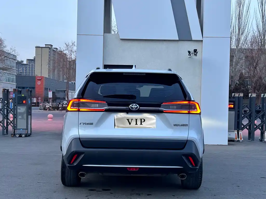 Wilanda 2021 2.0L CVT two-wheel drive luxury version купить на сайте DeffCars