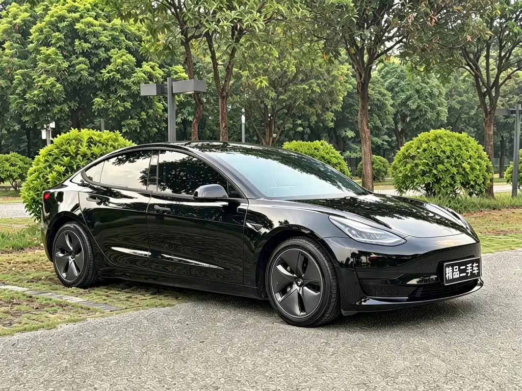 Model 3 2021 facelift standard range rear drive upgraded version 3D1 купить на сайте DeffCars