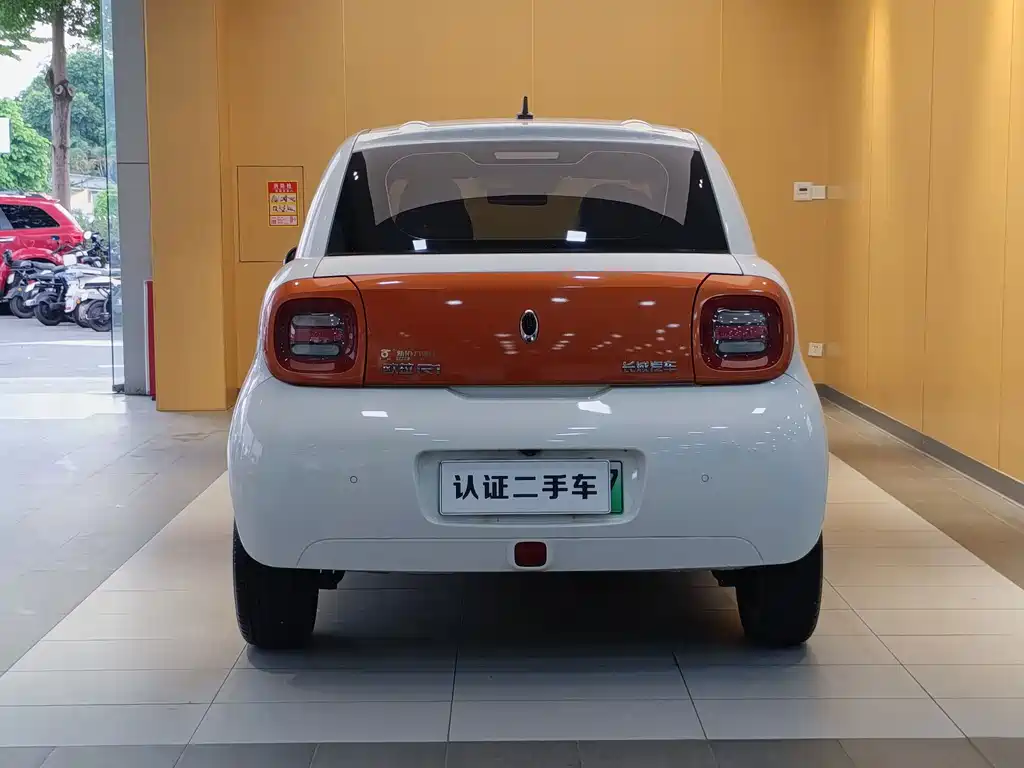 Euler Black Cat 2019 351km Goddess Edition купить на сайте DeffCars