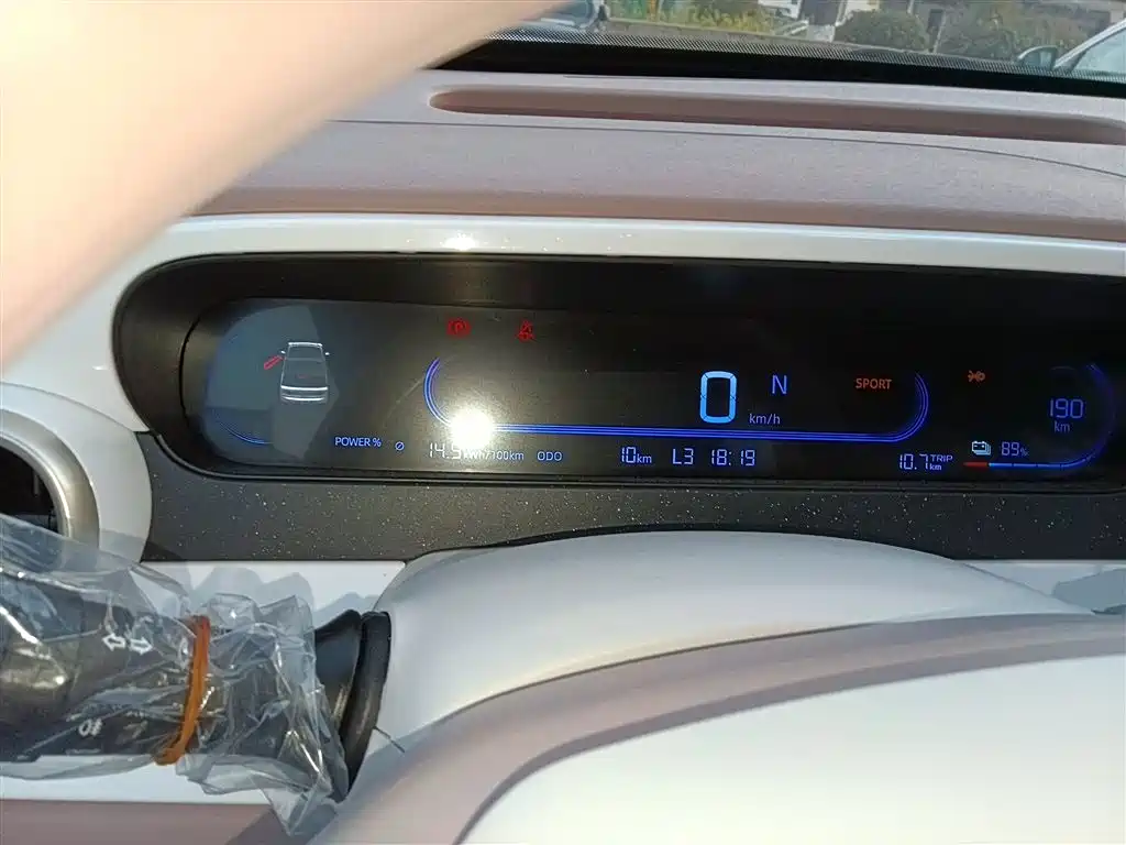 Panda 2025 Panda mini 210km Yuanqi Bear купить на сайте DeffCars
