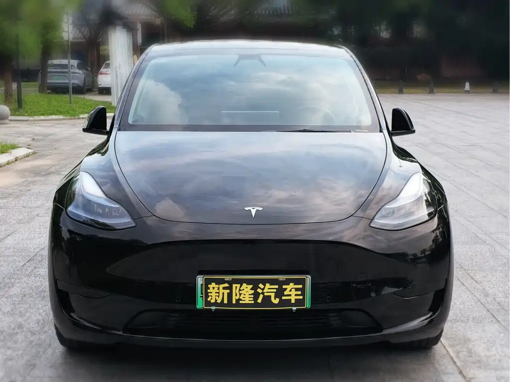 Model Y 2023 rear-wheel drive version купить на сайте DeffCars
