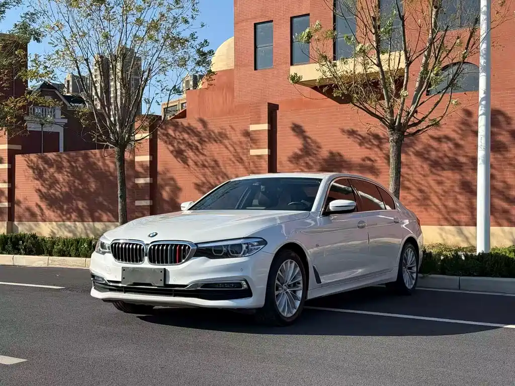 BMW 5 Series 2019 530Li Leading Luxury Package купить на сайте DeffCars