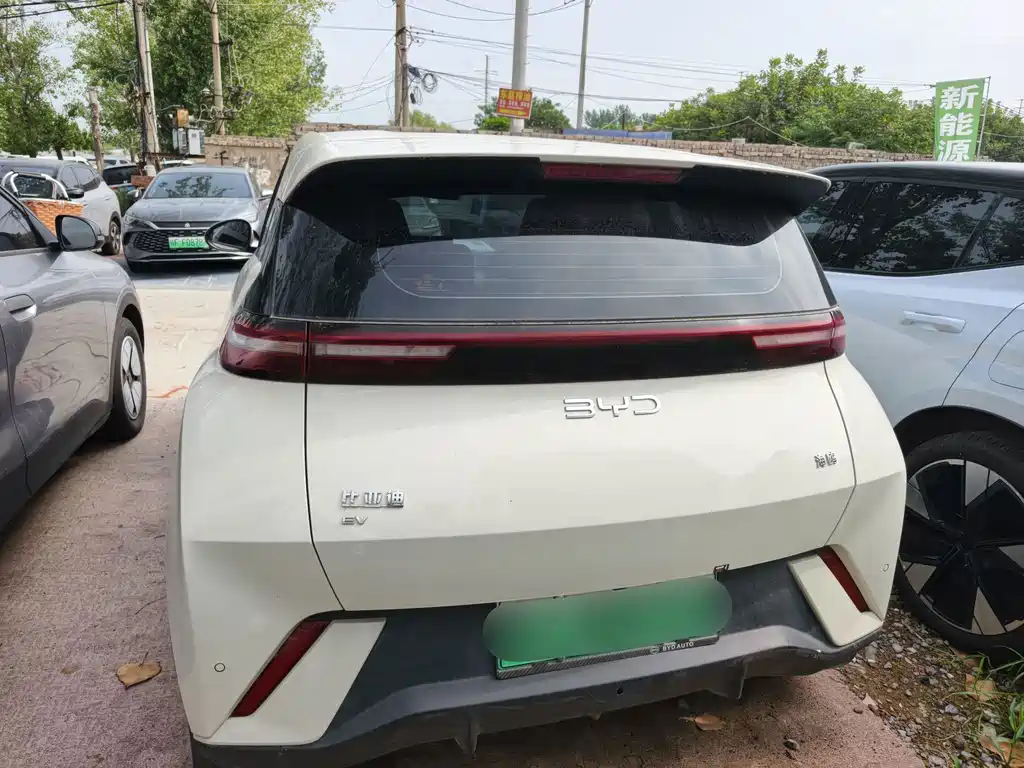Seagull 2025 305km Free Edition купить на сайте DeffCars