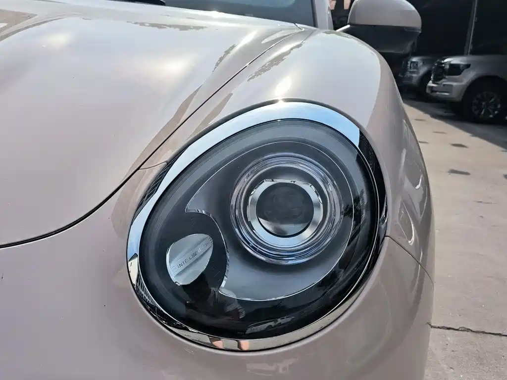 Euler Good Cat 2023 Model 401km Standard Range Honor Type Lithium Iron Phosphate купить на сайте DeffCars