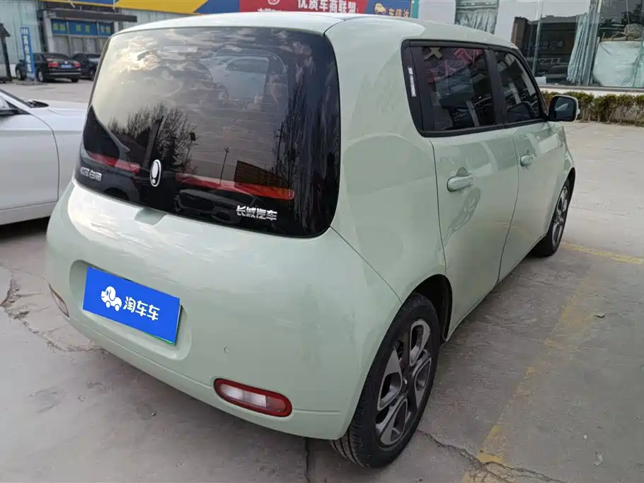 Euler White Cat 2022 upgraded version 305km luxury model ternary lithium купить на сайте DeffCars