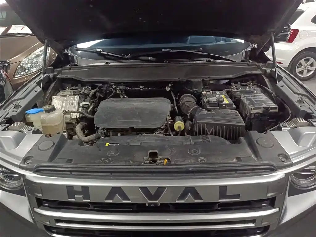 Havaldog 2024 1.5T DCT Border Collie Edition купить на сайте DeffCars