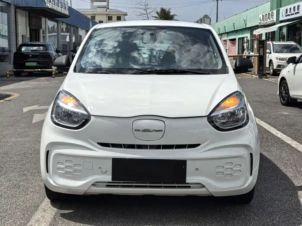 CLEVER 2021 302km all-round version купить на сайте DeffCars