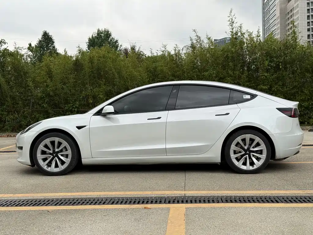 Model 3 2021 Standard Range Rear Drive Upgraded Version купить на сайте DeffCars