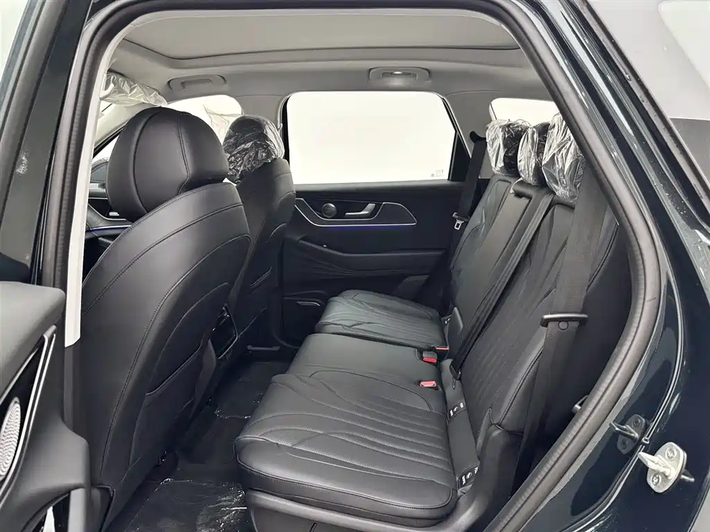 Fengyun T9 2025 model 120 long endurance version premium type 5 seats lithium iron phosphate купить на сайте DeffCars
