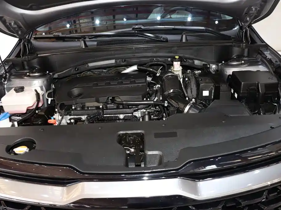 Lion Platinum Extension 2023 2.0T two-wheel drive premium version купить на сайте DeffCars