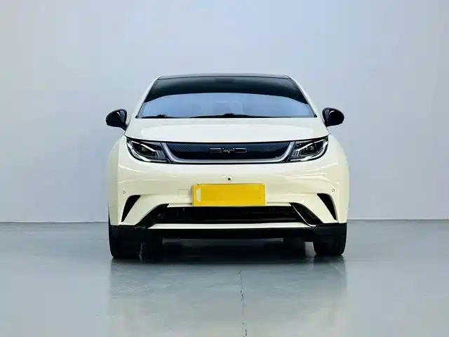 Dolphin 2023 420km fashion version купить на сайте DeffCars