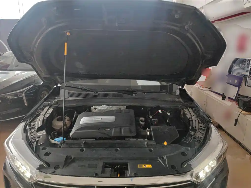 Pentium T77 2023 1.5T automatic luxury model купить на сайте DeffCars