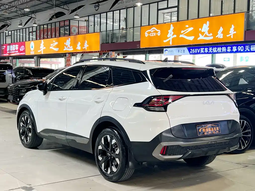 Lion Platinum Extends the World 2023 2.0T Two-wheel Drive Premium Edition купить на сайте DeffCars