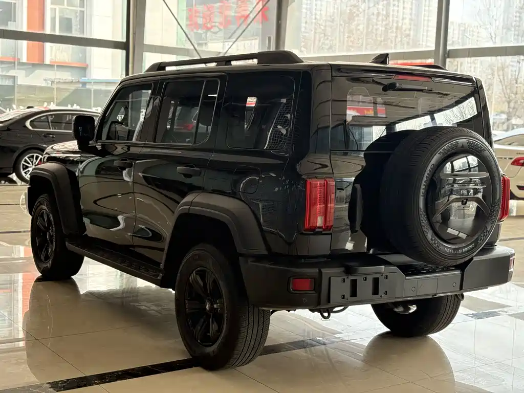 Tank 300 2021 Off-Road Version 2.0T Conqueror купить на сайте DeffCars