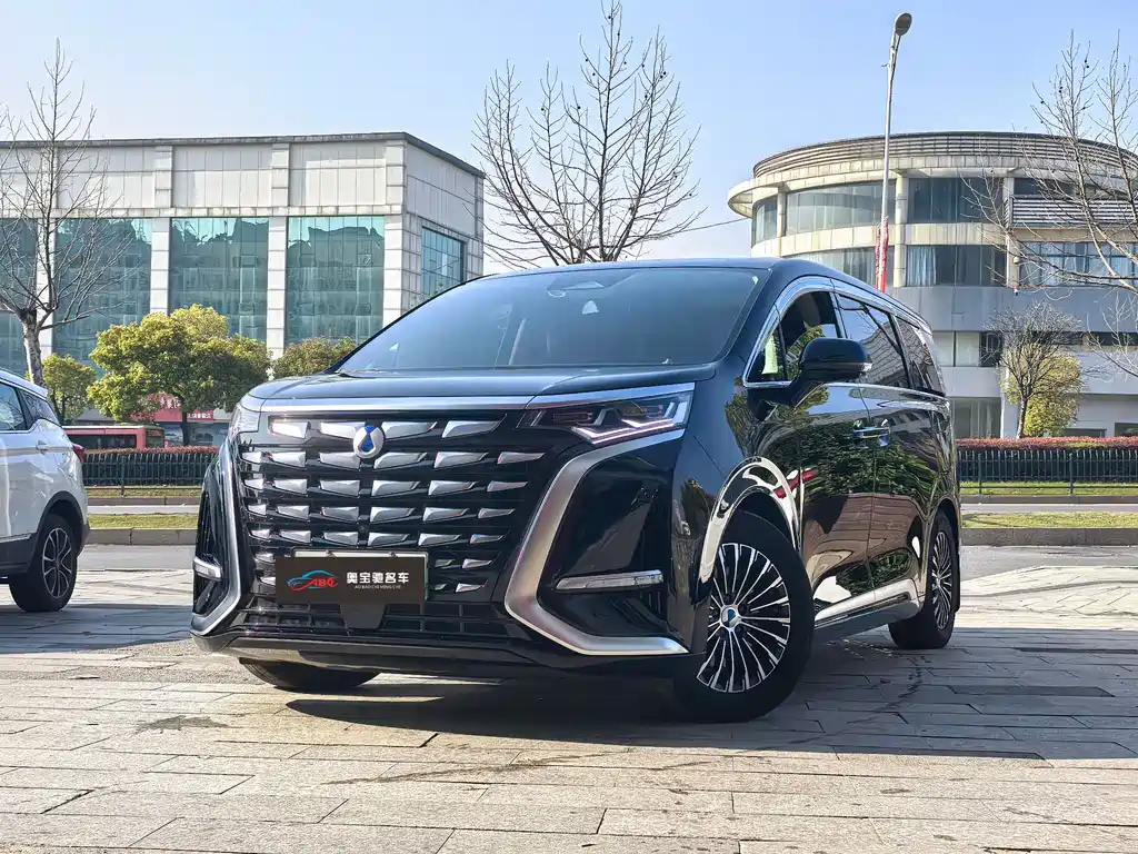 Denza D9 2024 DM-i 1050 Exclusive Type купить на сайте DeffCars