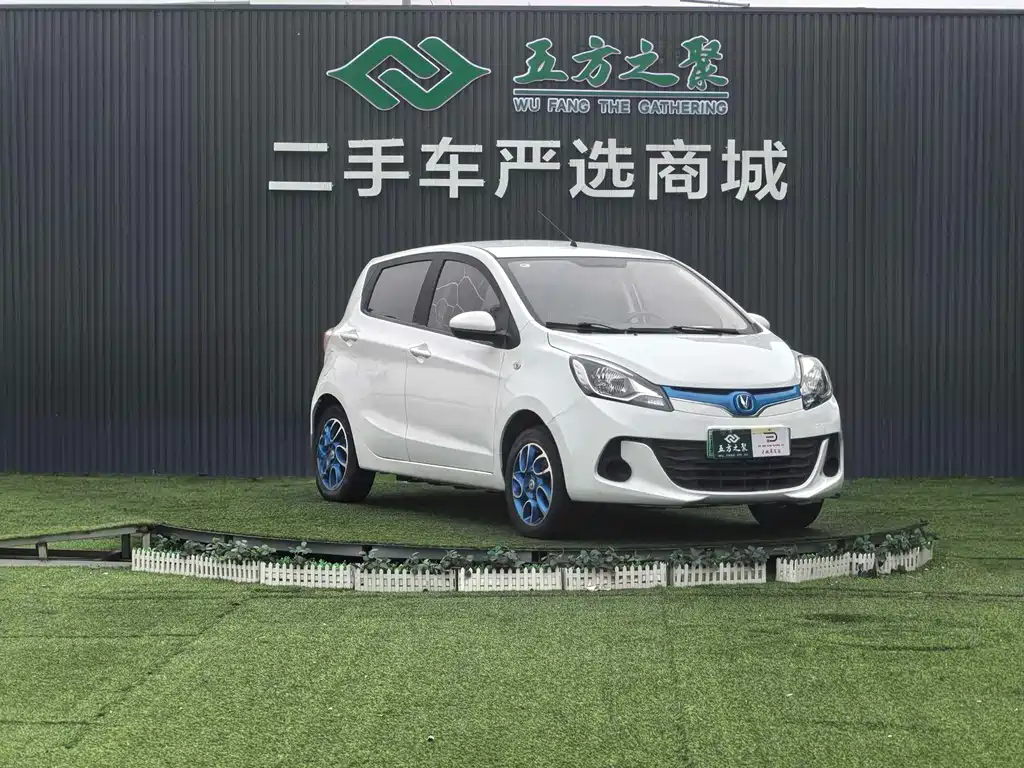 Benben EV 2019 EV360 Standard Model купить на сайте DeffCars