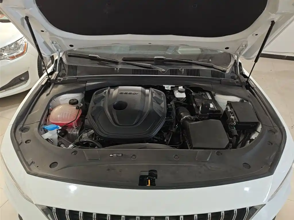 Xingrui 2023 2.0TD Premium Model купить на сайте DeffCars