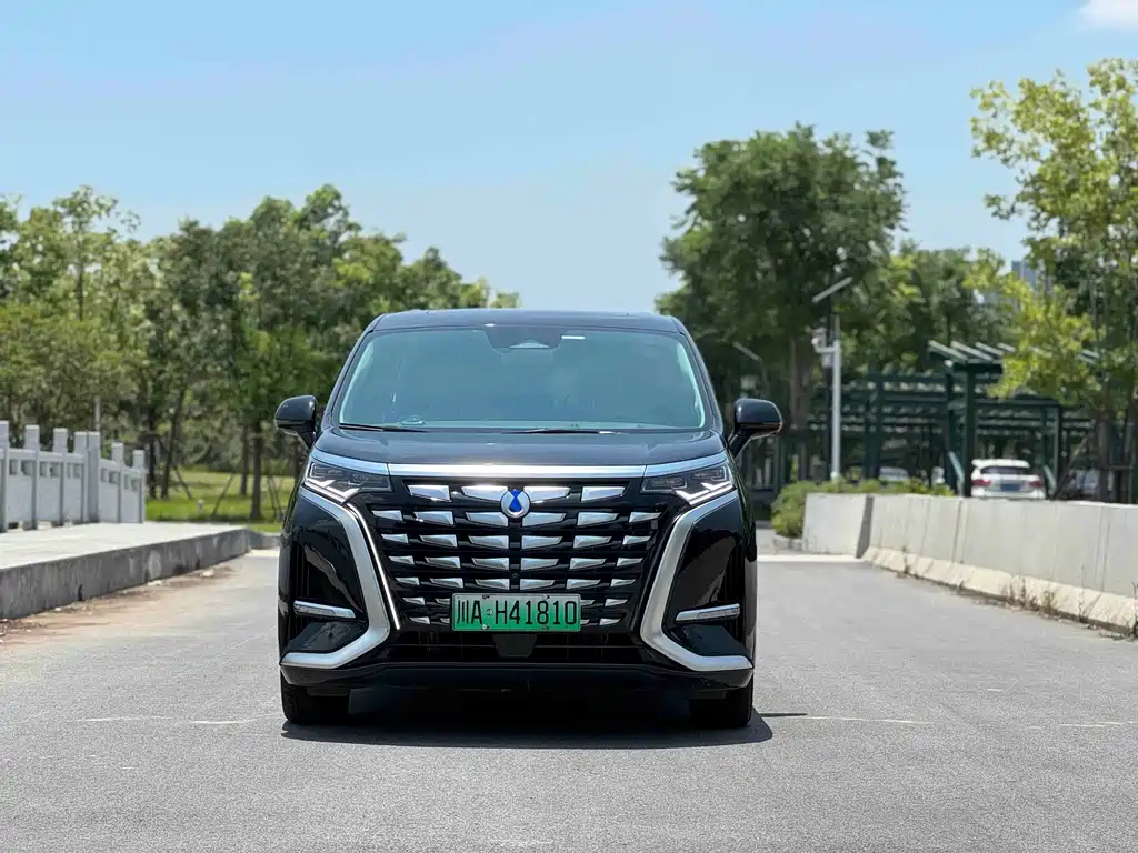 Denza D9 2024 DM-i 980 four-wheel drive flagship model купить на сайте DeffCars