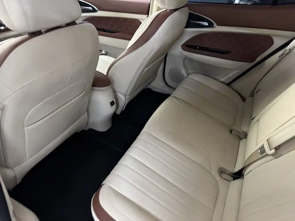 Euler Good Cat 2021 model 400km standard battery life Venus version ternary lithium купить на сайте DeffCars