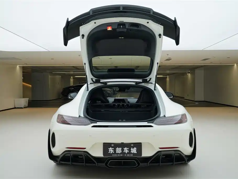 AMG GT 2019 AMG GT R PRO купить на сайте DeffCars